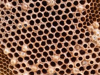 honeycomb pattern