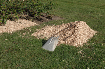 paillage de bois