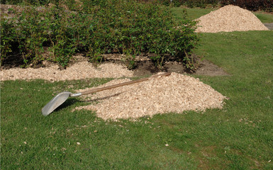 plaquettes de bois