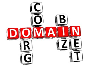 3D Domain Org Com Biz Net Crossword - obrazy, fototapety, plakaty