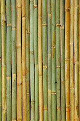 quality natural bamboo background