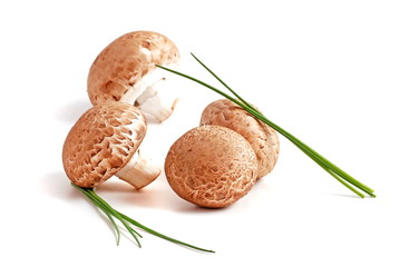champignons
