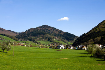 Fototapeta na wymiar Schwarzwald Wiesen,Glottertal