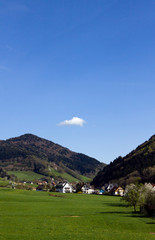 Fototapeta na wymiar Schwarzwald Wiesen,Glottertal