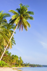 Obraz premium Tropical Island Scenery