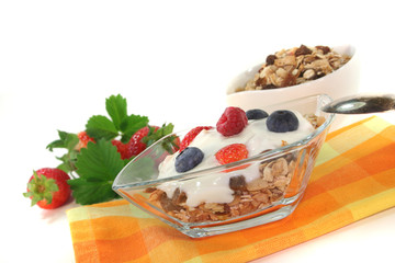 Müsli mit Joghurt, frischen Obst und Nüssen