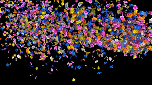 flower trail