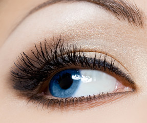 close-up of beautiful womanish eye