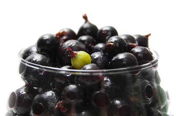 Berry dessert
