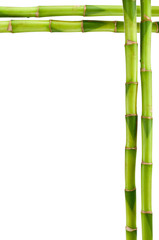 Bambusrahmen