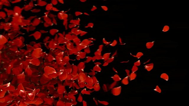 petal transition