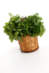 Naklejka premium BASILICO MENTA E ORIGANO