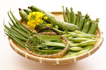 春の豆野菜