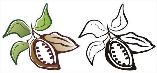 cacao symbol