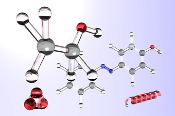 polymeric model