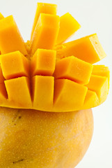 mangue découpée