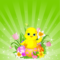 Beautiful Easter chick background