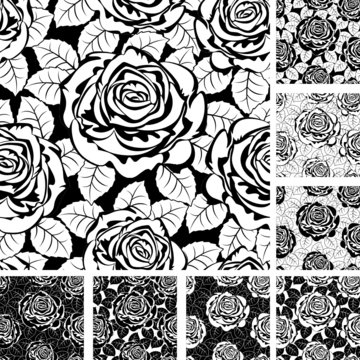 Set from seamless from roses and  leaves. Black and white