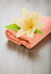 Obraz na płótnie Canvas flower on pink towel