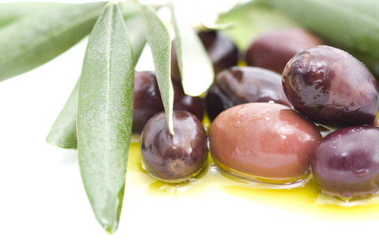 olives et feuillages