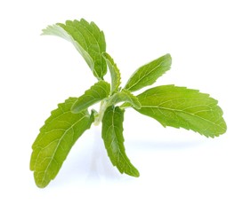 Stevia