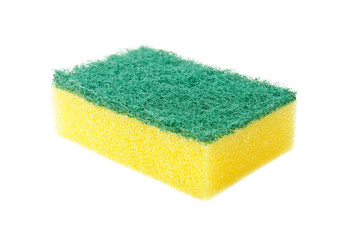 kitchen sponge