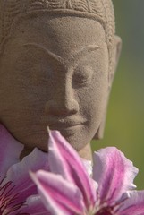 M&eacute;ditation de Bouddha dans les cl&eacute;matites
