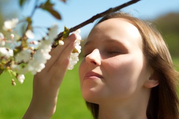 Frau riecht an Kirschblüten
