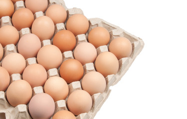 eggs