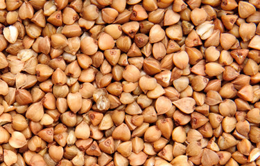 buckwheat;