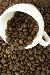 Coffee beans are scattered from a white cup