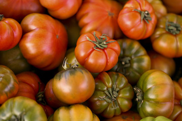 Farmers' Market Tomatoes