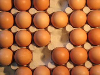 Eggs