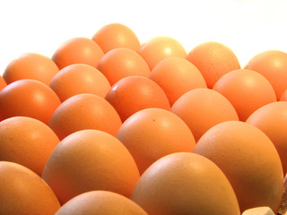Some eggs