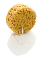 round sponge