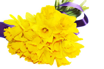 golden daffodil