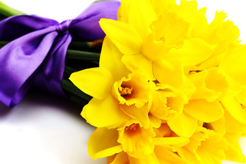 Obraz premium golden daffodil