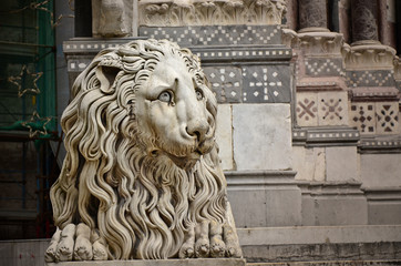 Lion sculpture, Cathedral of St. Lawrence, Genoa, Italy