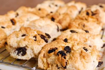 Close up of freshly baked fruit scones
