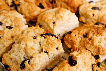 Close up of freshly baked fruit scones