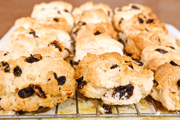 Freshly baked  scones on tray