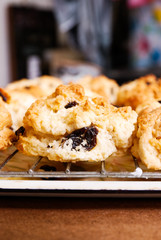 Freshly baked  scones on tray