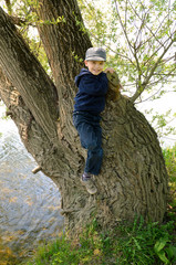 Naklejka premium Kind klettert auf knorrigen Baum