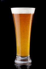 Glass of beer isolated on a black background