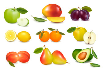 Group with different sorts of fruit. Vector.