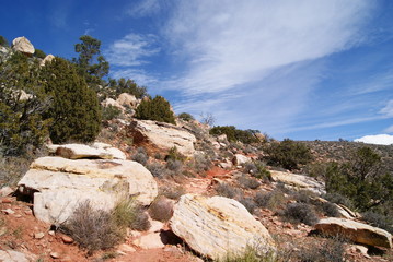 Fototapeta na wymiar Hiking Trail in Red Rock Canyon