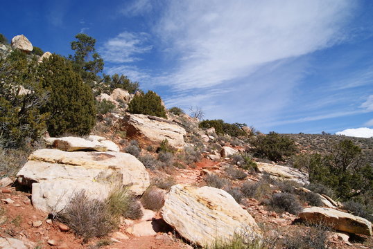 Hiking Trail in Red Rock Canyon