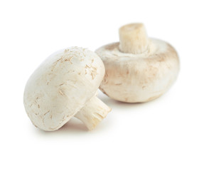 champignons isolated