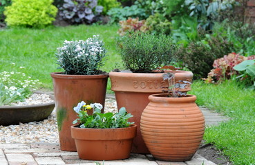 potted gardening