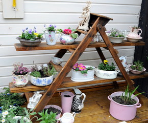 garden display